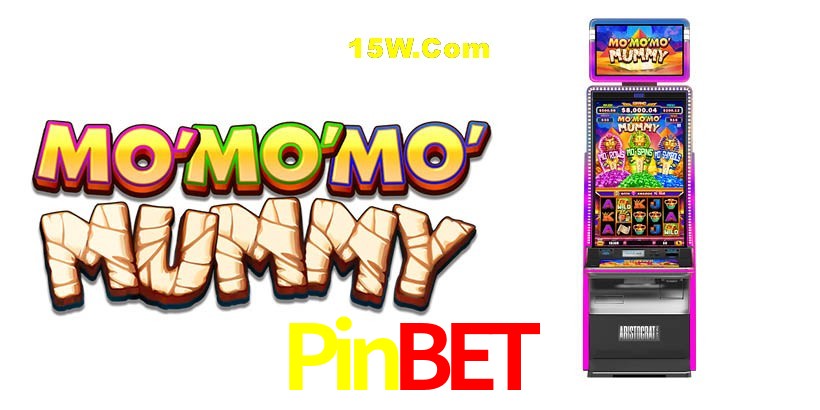 Bonus Features Pinbet