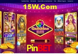 Recursos de Bônus Pinbet
